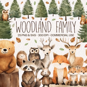 Woodland Animals Clipart Bundle, Cute Nursery Art Containing Bear, Fox, Raccoon, Owl, Squirell and Bunny in PNG and SVG Format