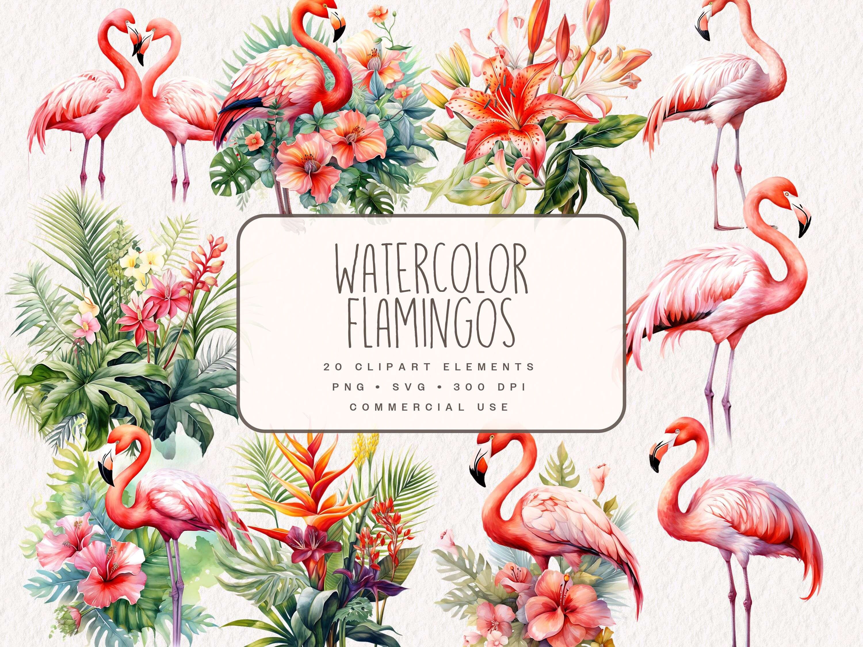 Watercolor Tropcial Flamingos Clipart, Tropical Flower Graphics in PNG and SVG, Digital Jungle Illustrations for Commercial Use