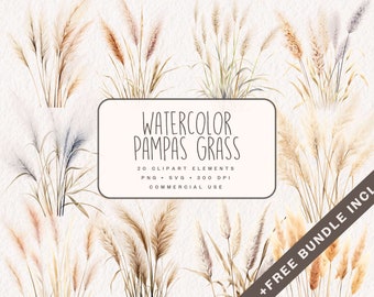 Watercolor Pampas Grass Clipart, Boho Graphics, Digital Floral Illustrations in PNG and SVG for commercial use