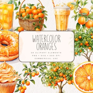 Watercolor Oranges Clipart Bundle, Cute Food Graphics in PNG and SVG, Digital Floral Illustrations for Commercial Use