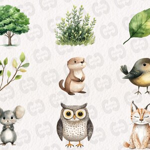 May include: A digital illustration of a set of woodland animals, including a brown otter, a gray owl, a gray mouse, a brown and white lynx, a blue and yellow bird, and various green leaves and branches.