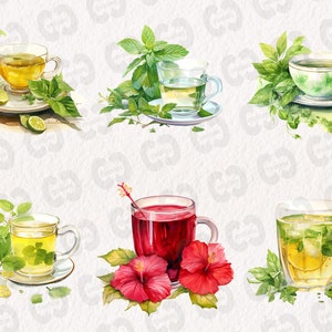 May include: Six watercolor illustrations of different types of tea. Each illustration features a cup of tea with a variety of herbs and flowers. The teas include green tea, herbal tea, and fruit tea.