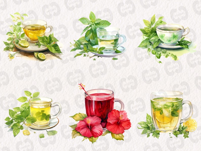 May include: Six watercolor illustrations of different types of tea. Each illustration features a cup of tea with a variety of herbs and flowers. The teas include green tea, herbal tea, and fruit tea.