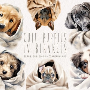 Puppies in Blankets Clipart, Watercolor Cute Puppies Graphics PNG, 35 Dog Breeds Illustration SVG, Puppy Bundle for commercial use, Baby Dog