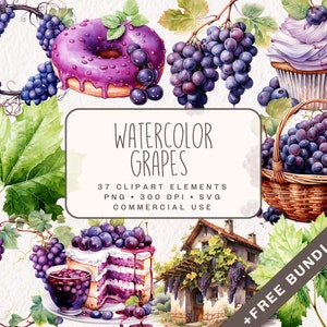 Aquarell Trauben Clipart Bundle, süße Lebensmittel Grafiken in PNG und SVG, digitale florale Illustrationen für Papierhandwerk und Junk Journaling