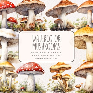 Pacchetto Clipart di funghi acquerello, bella grafica della foresta, illustrazioni digitali della natura dei funghi carini in PNG e SVG per uso commerciale