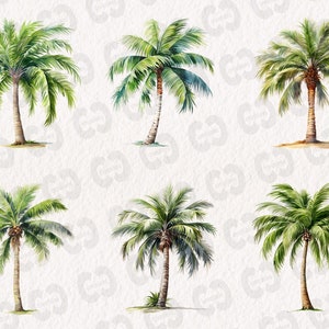 May include: Six watercolor illustrations of palm trees with green fronds and brown trunks against a white background.
