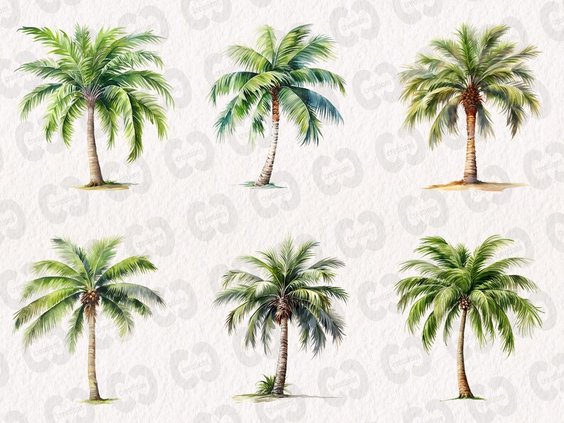 May include: Six watercolor illustrations of palm trees with green fronds and brown trunks against a white background.