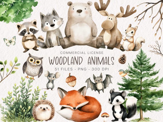 Watercolor Woodland Clipart Bundle, Cute Woodland Animals PNG, Nursery Forest Animals Clip Art, Woodland Baby Shower Clipart