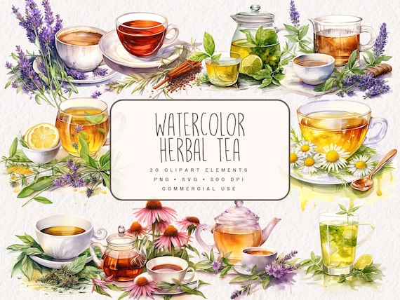 Watercolor Herbal Tea Clipart, Cozy Tea Graphics in PNG and SVG, Herbal Medicine Tea Cups Illustrations for commercial use