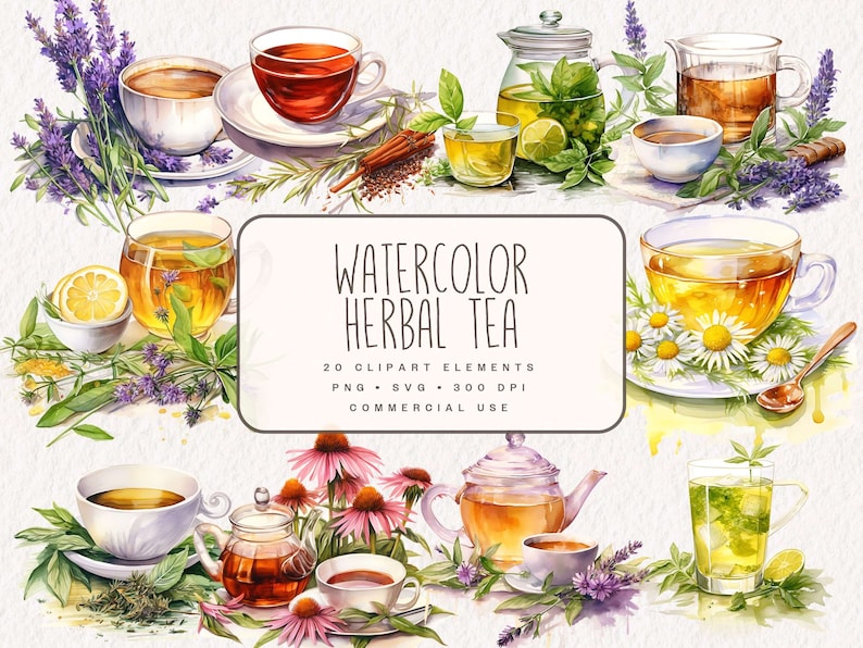 May include: Watercolor illustrations of various herbal teas, including lavender, chamomile, lemon balm, and echinacea. The illustrations include teacups, teapots, and loose tea leaves. The text "Watercolor Herbal Tea" is written in black on a white background.