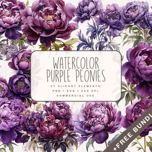 Aquarell lila Pfingstrosen Clipart, Pfingstrosen Blumen Grafiken in PNG und SVG, digitale Blumen Illustrationen für kommerzielle Nutzung
