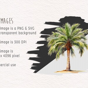 May include: A digital illustration of a palm tree with green leaves and a brown trunk. The image is on a transparent background.