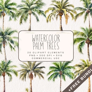 Aquarelle palmiers Clipart, graphiques de plage en PNG et SVG, illustrations numériques d'arbres tropicaux pour un usage commercial