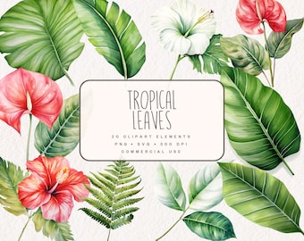 Watercolor Tropical Leaves Clipart, Jungle Graphics in PNG and SVG, Digital Tropical Flower Leaf Illustrations for commercial use
