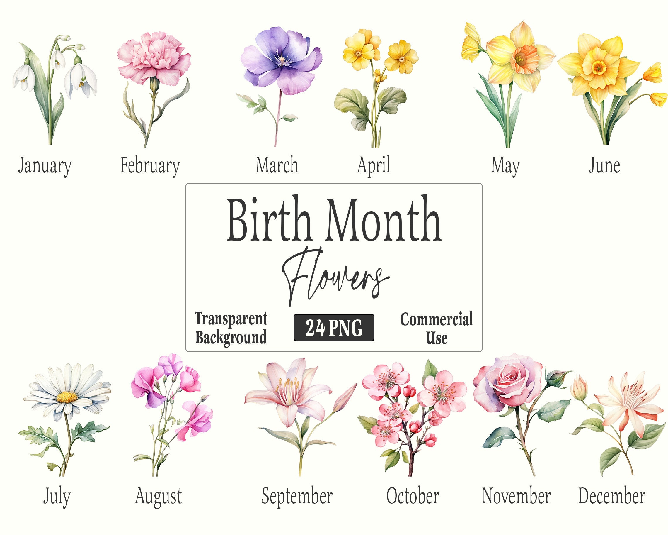 Birth Month Flowers Clipart, birthflower clipart png, birthflower png, Watercolor Birthflowers Clipart Bundle for Commercial Use
