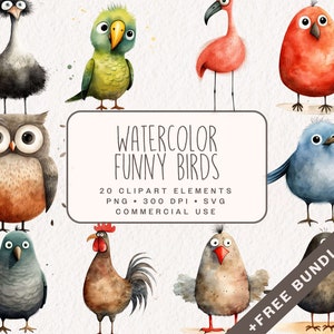 Aquarel grappige vogels clipart, schattige vogel graphics in PNG en SVG, digitale pauw, duif, flamingo illustraties voor commercieel gebruik