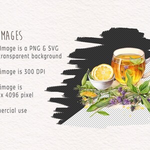 May include: A watercolor illustration of a cup of tea with lemon and herbs. The tea is in a clear glass cup with a handle. The lemon is sliced and in a small white bowl. The herbs are green and purple and are scattered around the cup and lemon. The background is transparent.