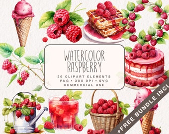 Aquarell Himbeeren Clipart Bundle, süße Lebensmittel Grafiken in PNG und SVG, digitale Himbeeren Illustrationen für die kommerzielle Nutzung