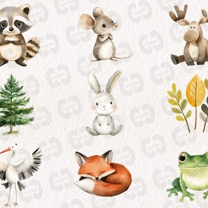 May include: A set of nine watercolor illustrations featuring woodland animals, plants, and a frog. The animals include a raccoon, mouse, rabbit, fox, and moose. The plants include a pine tree and a cluster of leaves. The frog is green with a white belly.
