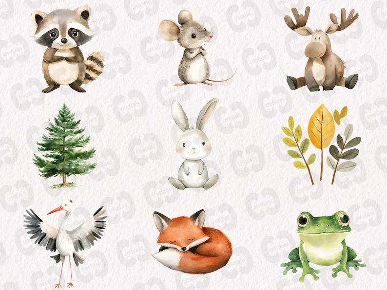 May include: A set of nine watercolor illustrations featuring woodland animals, plants, and a frog. The animals include a raccoon, mouse, rabbit, fox, and moose. The plants include a pine tree and a cluster of leaves. The frog is green with a white belly.