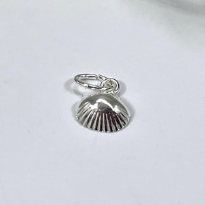 May include: A small, silver seashell charm with a detailed, ridged surface. The charm is suspended from a small, circular ring. The background is white, with a few sprigs of greenery in the upper corners.