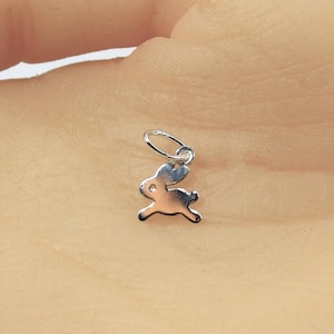 May include: A silver charm in the shape of a rabbit. The charm is small and delicate, and it would be perfect for a necklace or bracelet.