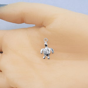 Puede incluir: Un dije de plata en forma de tortuga con un diseño de caparazón detallado. El dije tiene un bucle en la parte superior para sujetarlo a un collar o pulsera.
