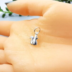 Puede incluir: Un charm de plata con forma de ardilla. El charm es pequeño y detallado, con un acabado liso y brillante.
