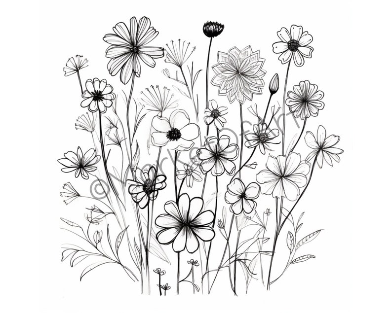 10 Beautiful Black and White Sketches of Flowers Clipart, Black and ...