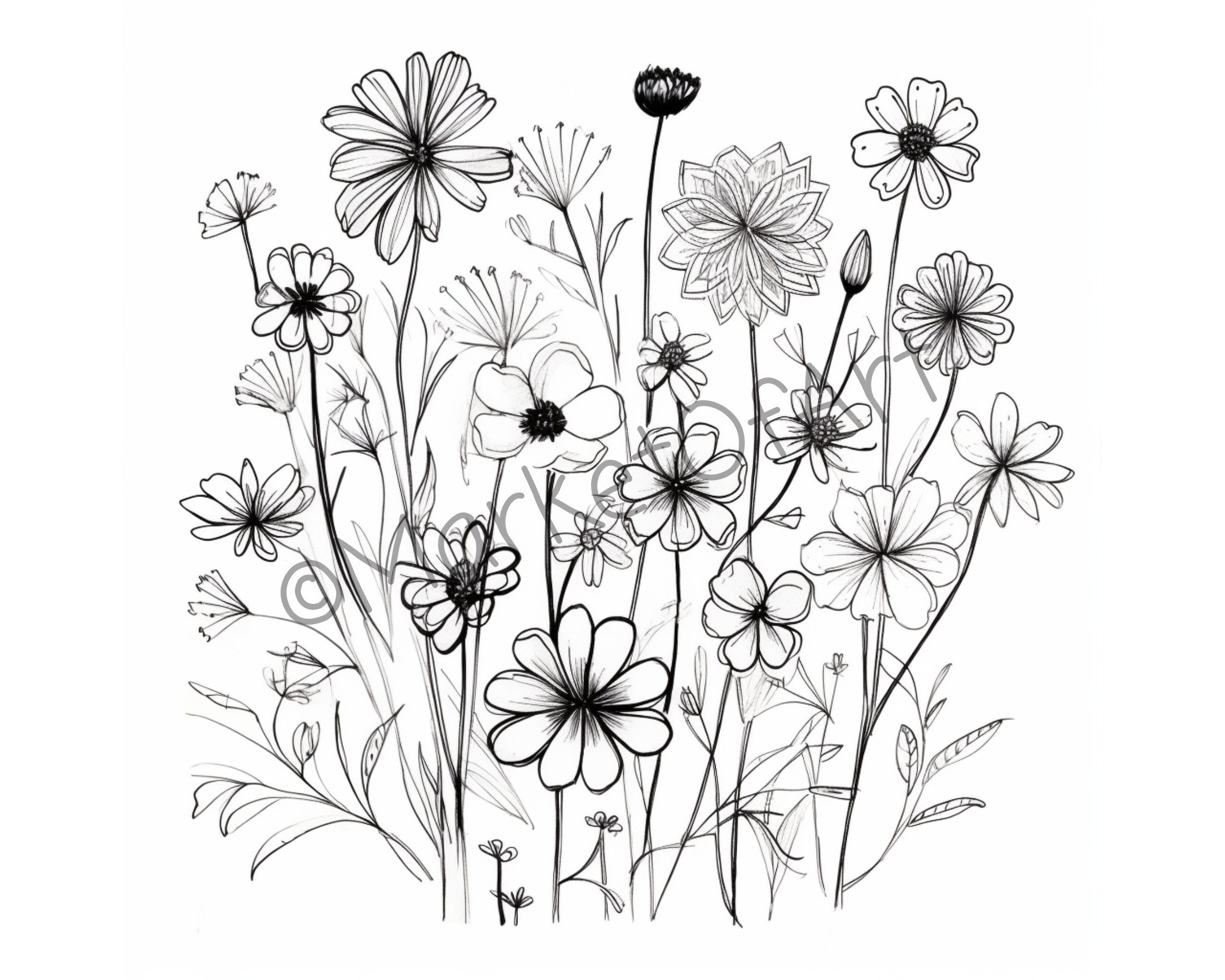 Black and 2024 white sketch art