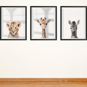 May include: Three framed animal portraits: a lion cub, a giraffe, and a zebra. Each portrait is in a black frame, set against a white background. The lion cub is in shades of brown, the giraffe is tan, and the zebra is black and white.