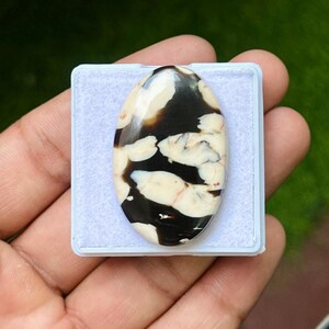 Könnte beinhalten: Ein ovaler Cabochon-Edelstein mit einer hochglanzpolierten Oberfläche und einem ausgeprägten Muster aus unregelmäßigen, cremeweißen Flecken vor einem tiefschwarzen Hintergrund, präsentiert auf einem quadratischen weißen Schaumstoffeinsatz.