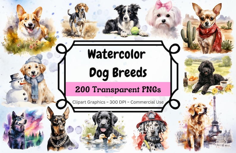 Dog Breeds Clipart Bundle - PNG Format - Instant Download - Commercial ...