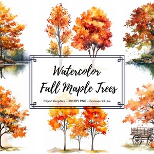 Könnte beinhalten: Aquarellillustrationen von Herbst-Ahornbäumen in verschiedenen Kompositionen. Die Bäume zeigen leuchtend orange, rote und gelbe Blätter. Das Bild enthält den Text "Watercolor Fall Maple Trees".