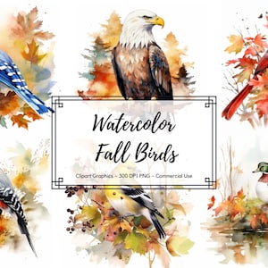Peut inclure: Illustrations à l'aquarelle de différents oiseaux, dont un geai bleu, un pygargue à tête blanche, un cardinal, un pic, un chardonneret et des canards, sur fond de feuillage d'automne. Le texte "Watercolor Fall Birds" est affiché dans un cadre décoratif.