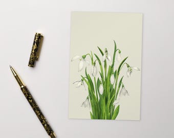 Ansichtkaart SNOWDRUPS, Cosy Spring, standaard ansichtkaart Snowdrops Blooms, ansichtkaart Elegante sneeuwklokjes
