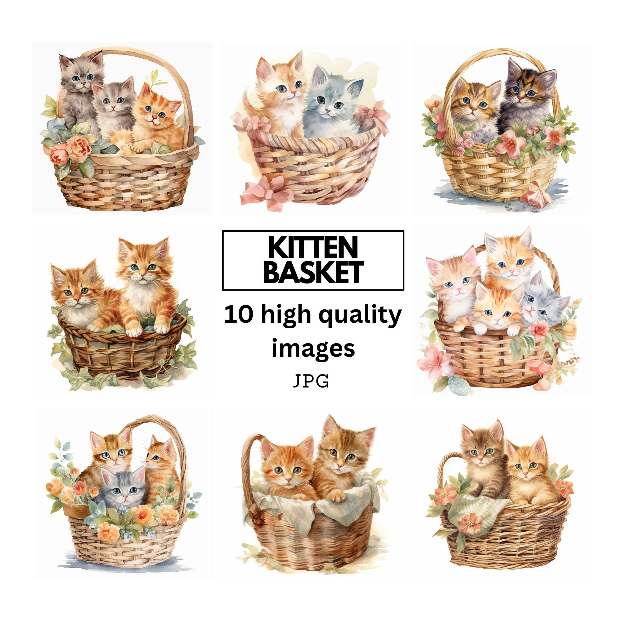 Kitten Gift Basket 60 Gift Ideas for 2024