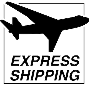 May include: Black and white graphic of an airplane inside a white rectangle. The words "EXPRESS SHIPPING" are written in bold, black capital letters below the airplane.