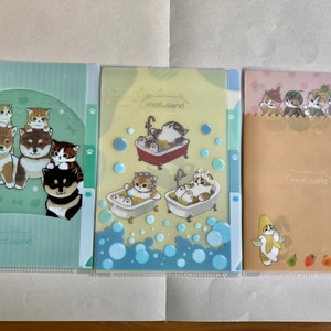 mofusand mini Clear file divided into four parts