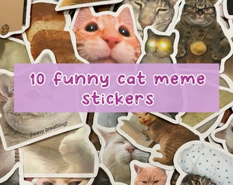10 adesivi con meme di gatti divertenti, per scrapbooking, diario, decorazione per diario, arte e artigianato