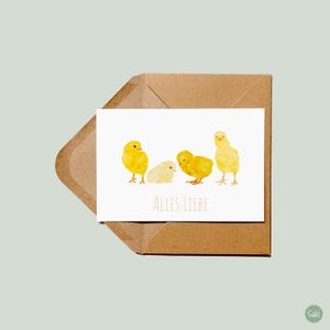 Postkarte Küken