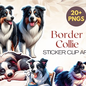 20 png-bestanden met hoge resolutie | Bordercollie-clipart | Stickerclipart | Hond, png-bestand | Schattige bordercollie | Gratis commercieel gebruik | Digitale download