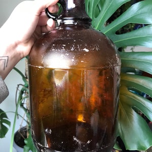 c. 1920's original dark amber colored american industrial oversized one  gallon glass laboratory screw top jug with integrated circular-shaped handle