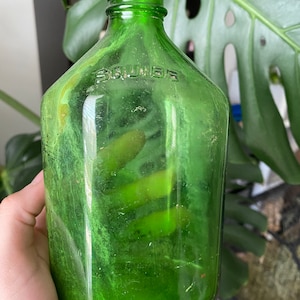 Peut inclure: Une bouteille en verre vert avec une surface texturée. La bouteille a un fond arrondi et un dessus carré. Le mot "SQUIBB" est en relief sur le côté de la bouteille.