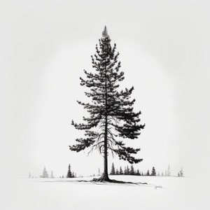 May include: A black and white drawing of a single pine tree in a snowy landscape. The tree is tall and slender, with a thick trunk and many branches. The branches are covered in snow, and the tree is silhouetted against a white background.