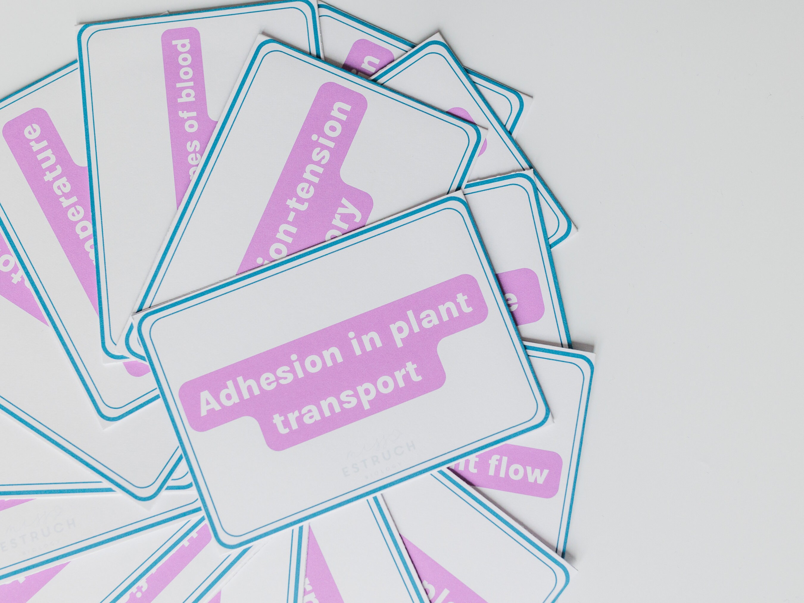 Alevel Biology Flashcards AQA Etsy