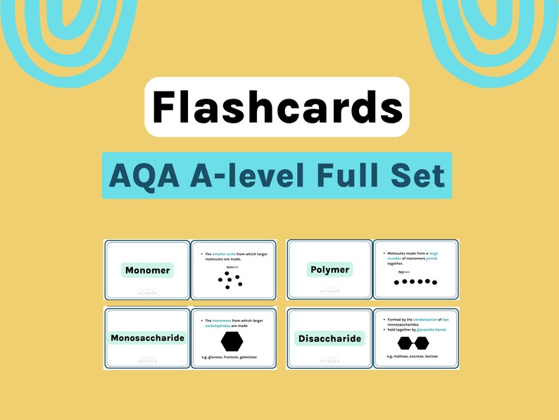 Alevel Biology Flashcards AQA Etsy