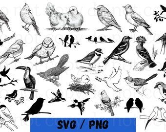 Bird Svg Bundle, Flying Bird Svg bundle, birds png, love birds svg, bird pair svg, bird cut file, bird clipart, bird sketch svg, Cricut