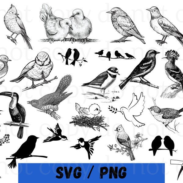 Birds on a branch svg bundle, bird svg, love birds svg, bird pair svg, bird cut file, bird clipart, bird sketch svg, Cricut, Silhouette